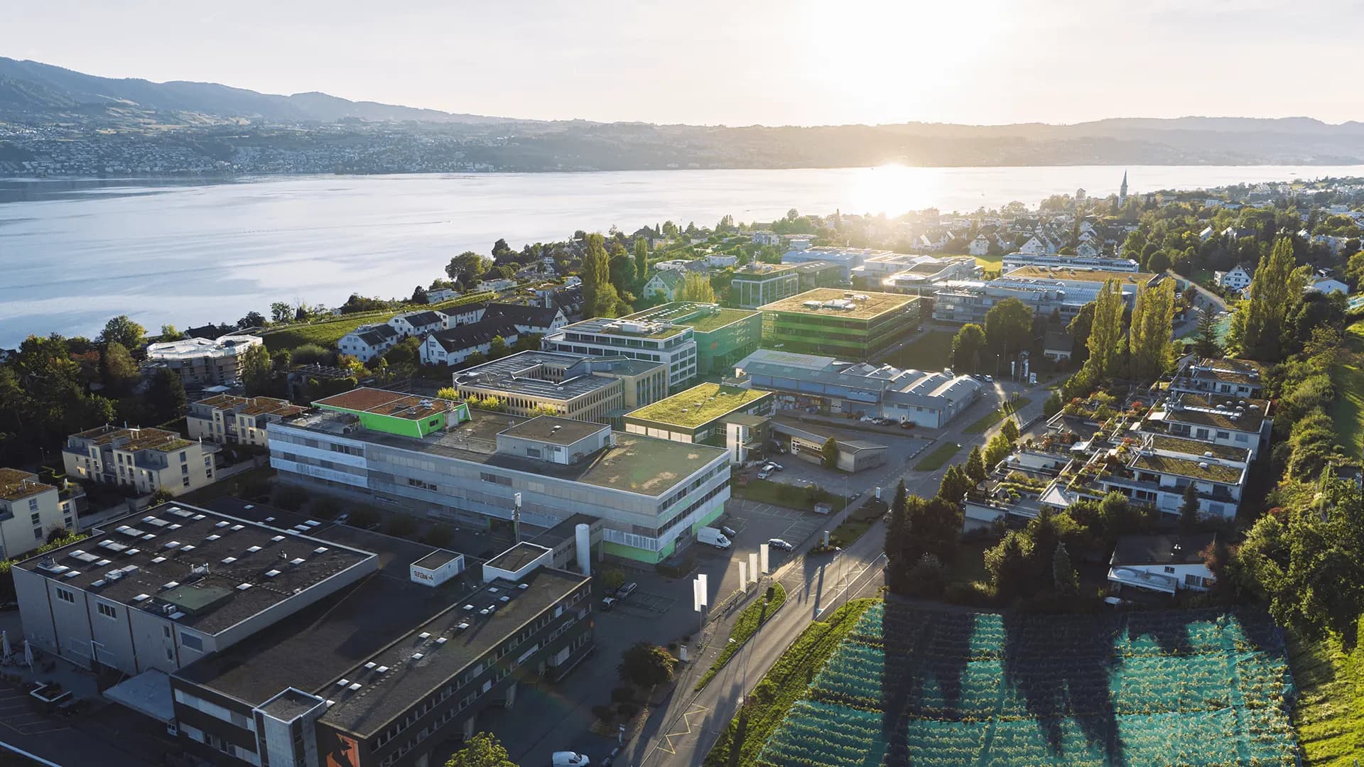 No alternate text provided